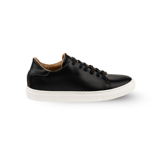 Sneakers Everyday